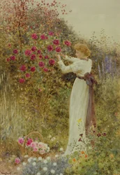Rosen, 1867